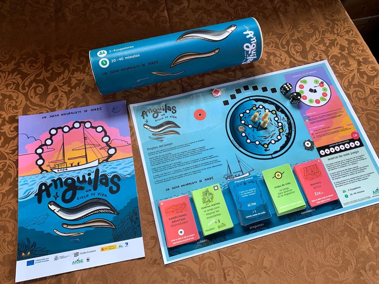 anguilas 01